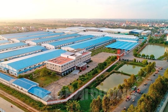 Thanh Mien invests in industrial infrastructure